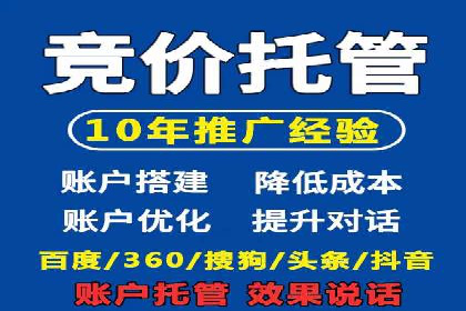 搜索引擎优化（SEO）与竞价广告（SEM）的对比案例